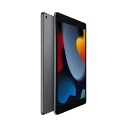 Apple iPad (9:e gen.) 256 GB Wifi Space Gray