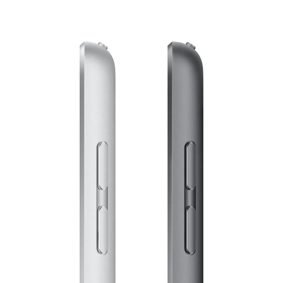 Apple iPad (9:e gen.) 256 GB Wifi Space Gray