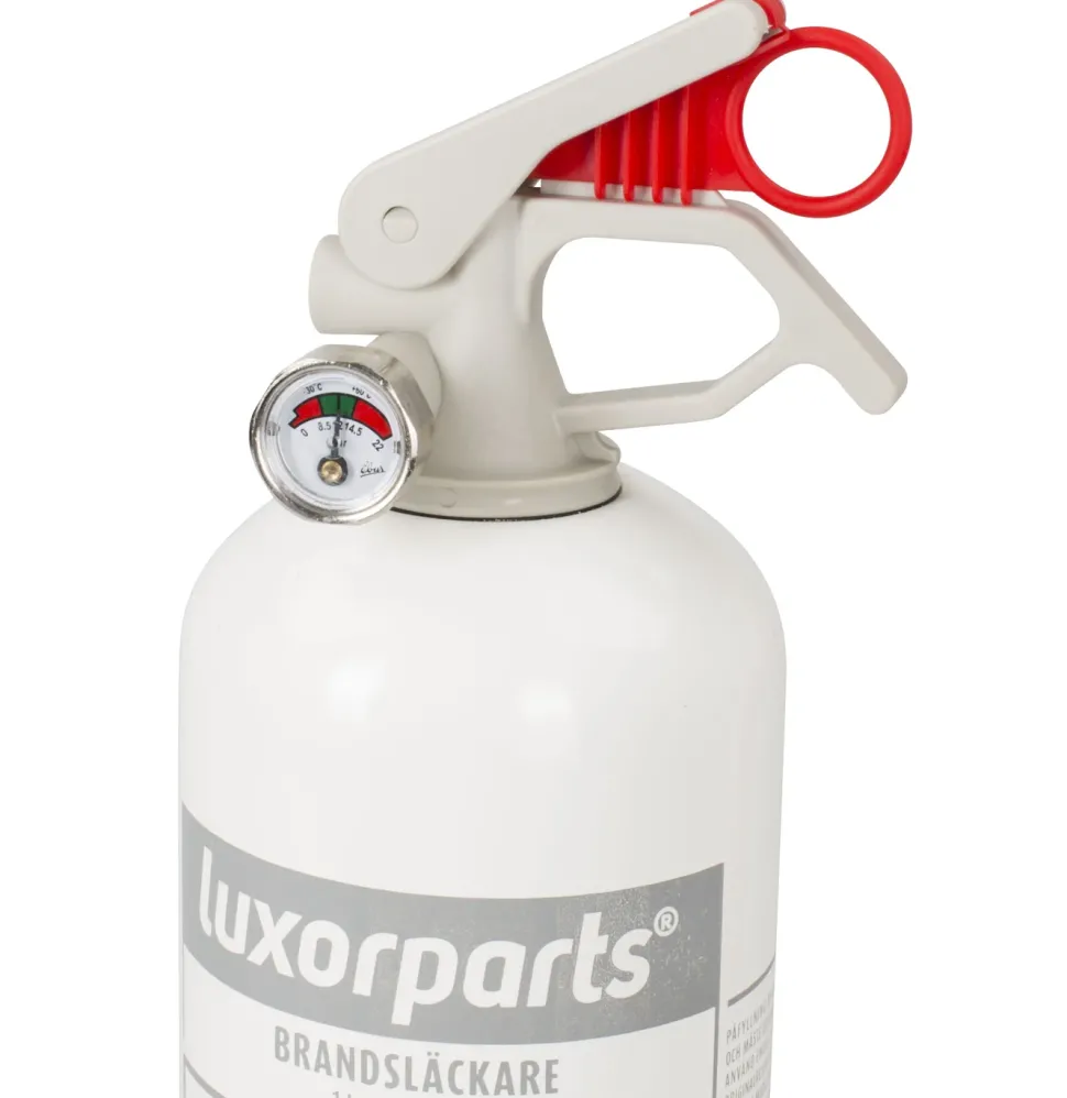 Brandsläckare med pulver 1 kg Vit