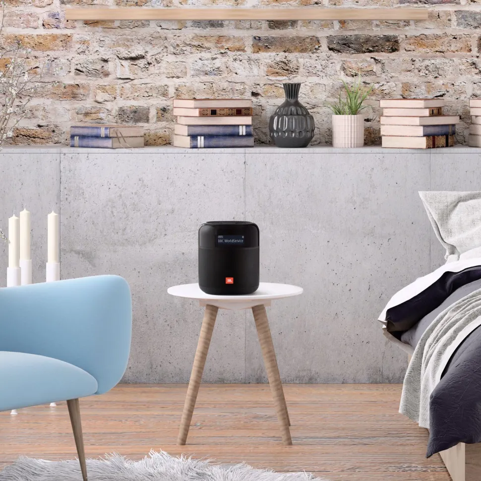 JBL Tuner XL Radio