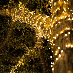 Ljusslinga 1000 LED 20 m (klar)
