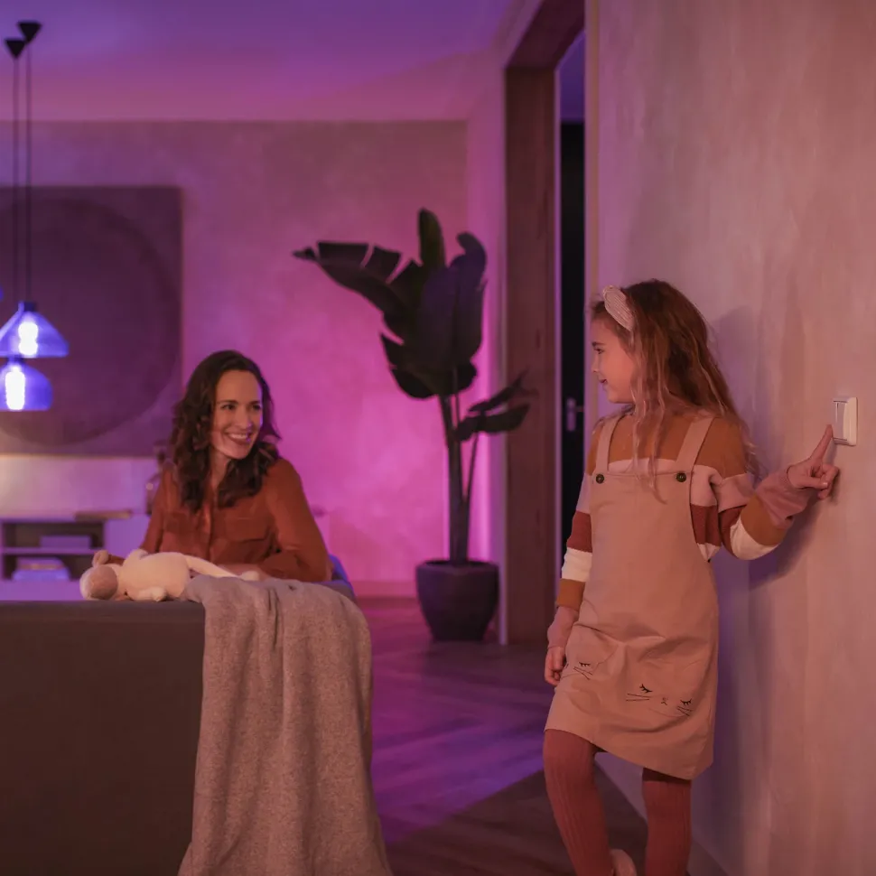 Philips Hue Väggbrytarmodul 2-pack