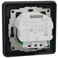 Schneider Electric Exxact Jordat vägguttag med USB-portar Svart