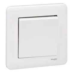 Schneider Electric Exxact strömbrytare 1-pol/trapp Infälld
