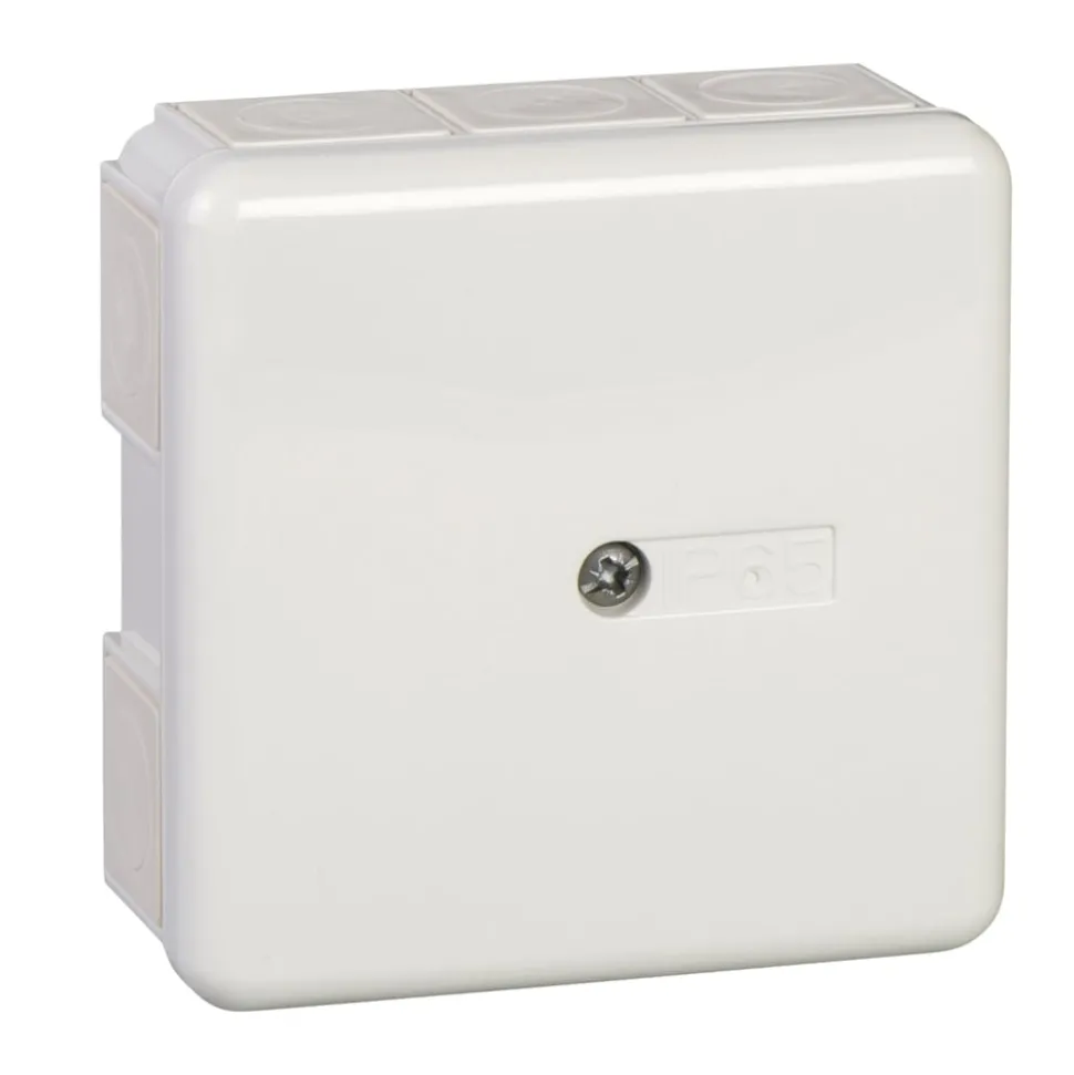 Schneider Electric Utanpåliggande kopplingsdosa IP55 med plint
