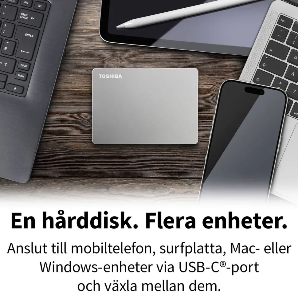 Toshiba Canvio Flex Silver 1 TB