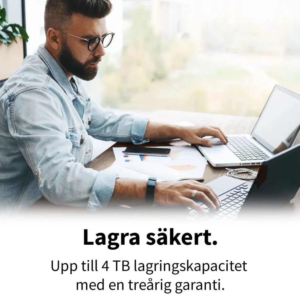 Toshiba Canvio Flex Silver 1 TB