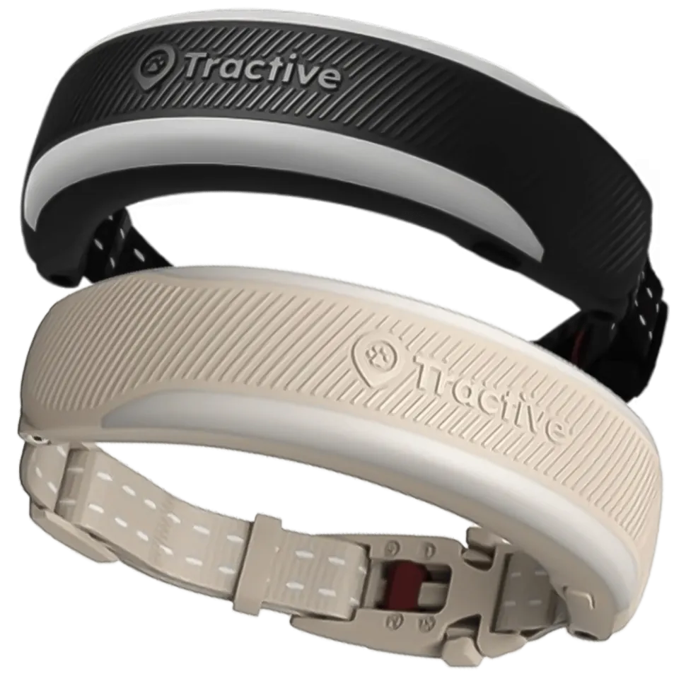 Tractive CAT 6 Mini GPS-halsband för katt med hälsospårning Svart