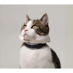 Tractive CAT 6 Mini GPS-halsband för katt med hälsospårning Svart