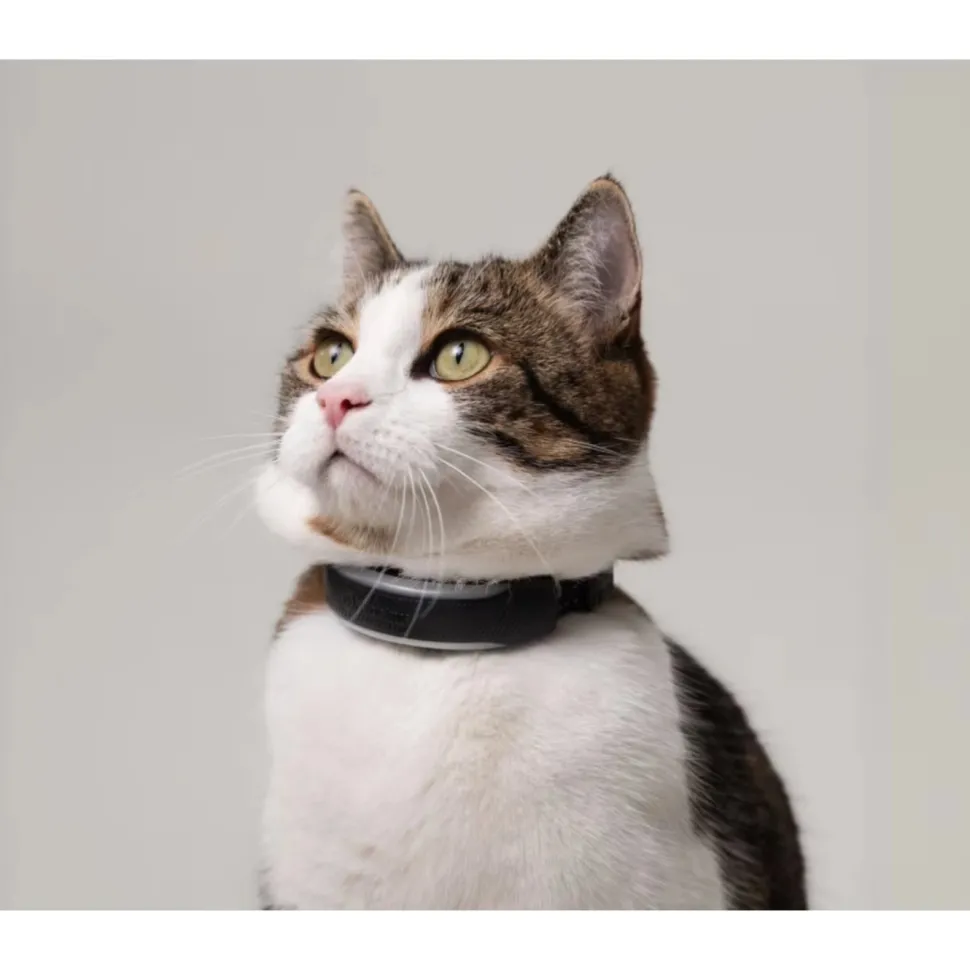 Tractive CAT 6 Mini GPS-halsband för katt med hälsospårning Svart