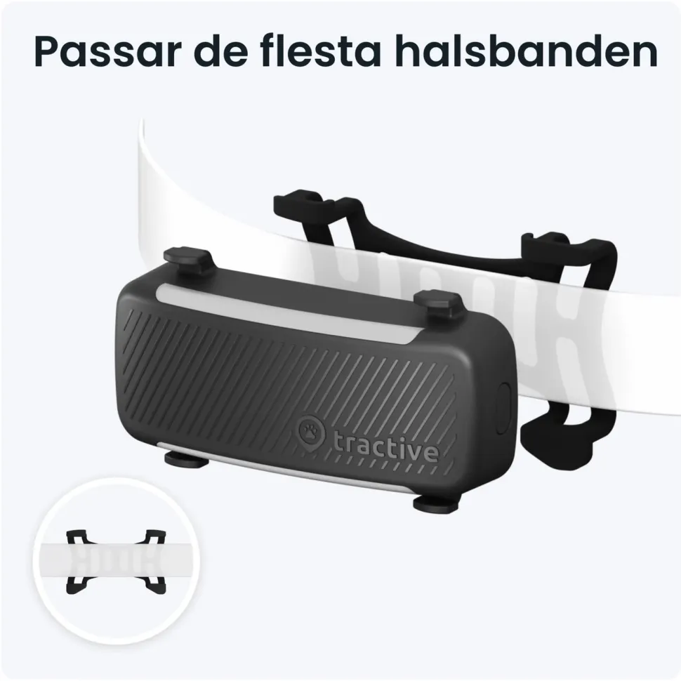 Tractive DOG 6 – Hund-GPS med hälsospårning
