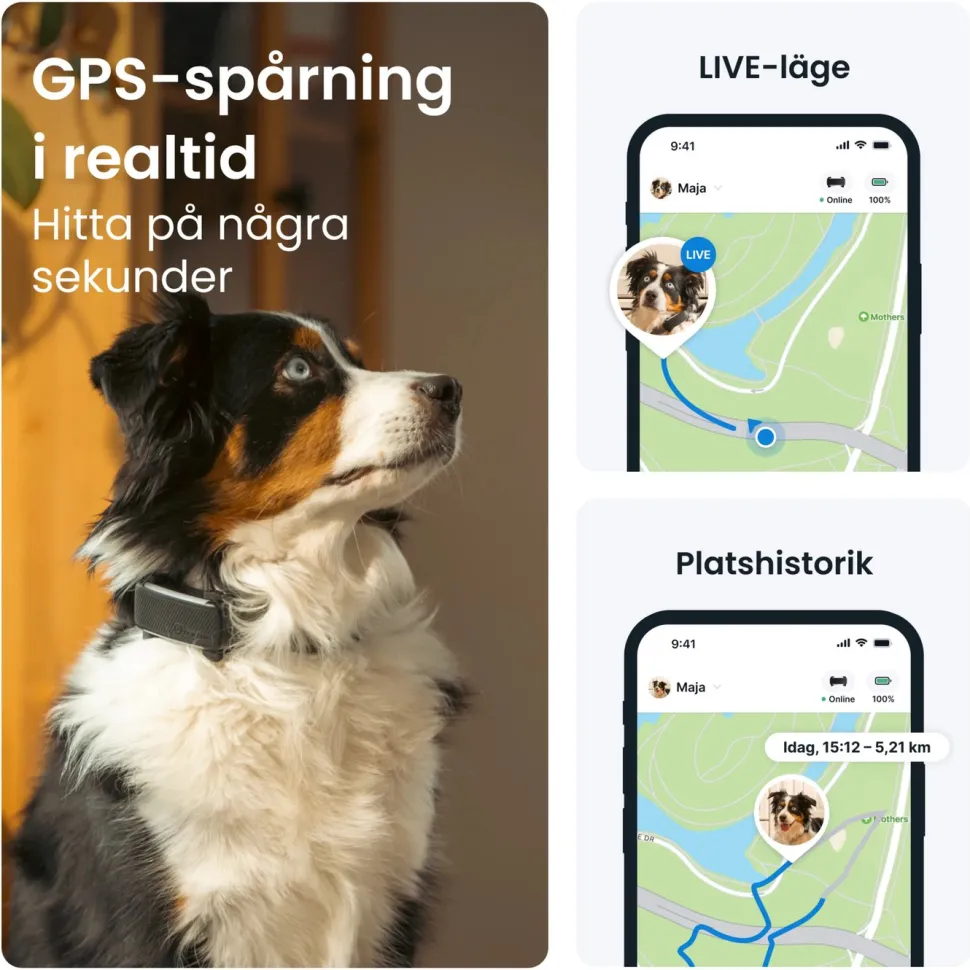 Tractive DOG 6 – Hund-GPS med hälsospårning