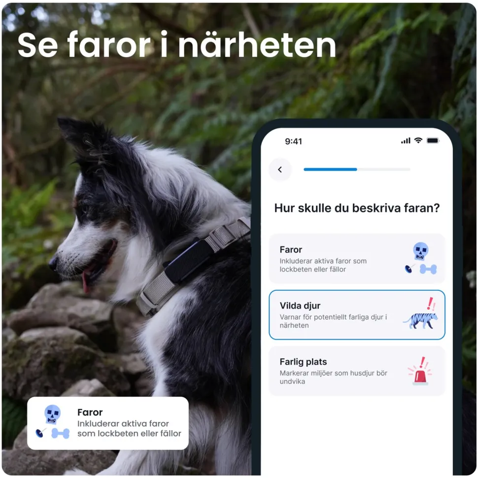 Tractive DOG 6 – Hund-GPS med hälsospårning